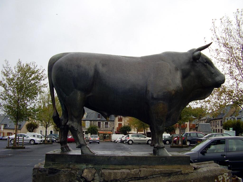 Vvf Aubrac Hotel Chaudes-Aigues Exterior foto